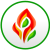 Delphire_logo_green.5eb217bf